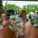 friends at a gardening center