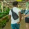friends at a gardening center